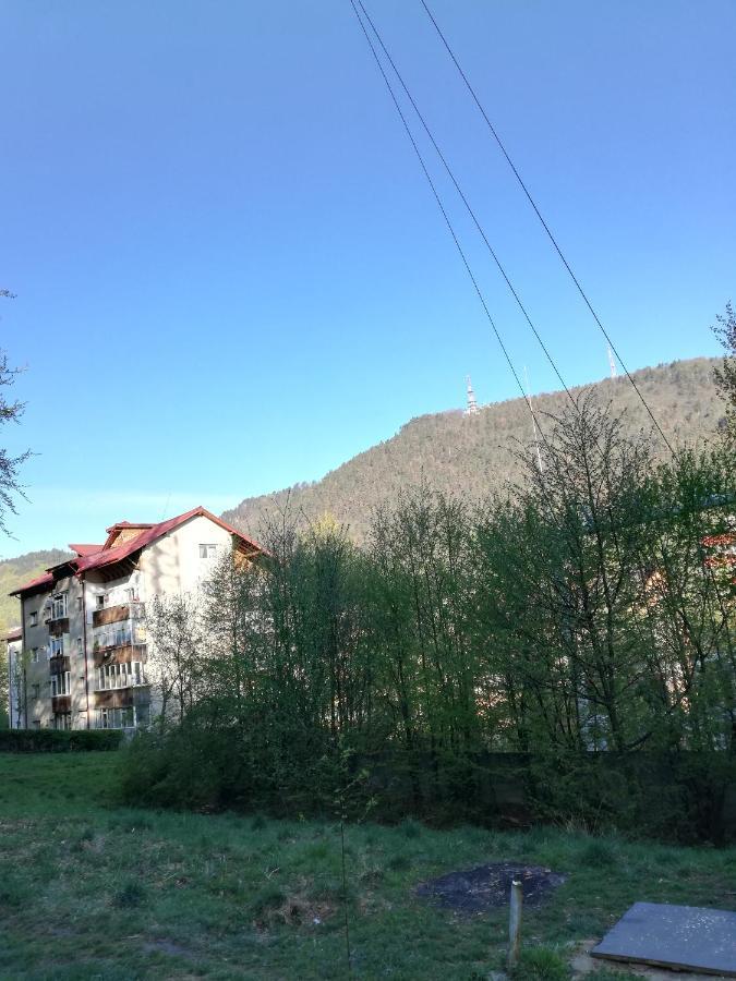 Rustic & Romantic Apartment Брашов Экстерьер фото