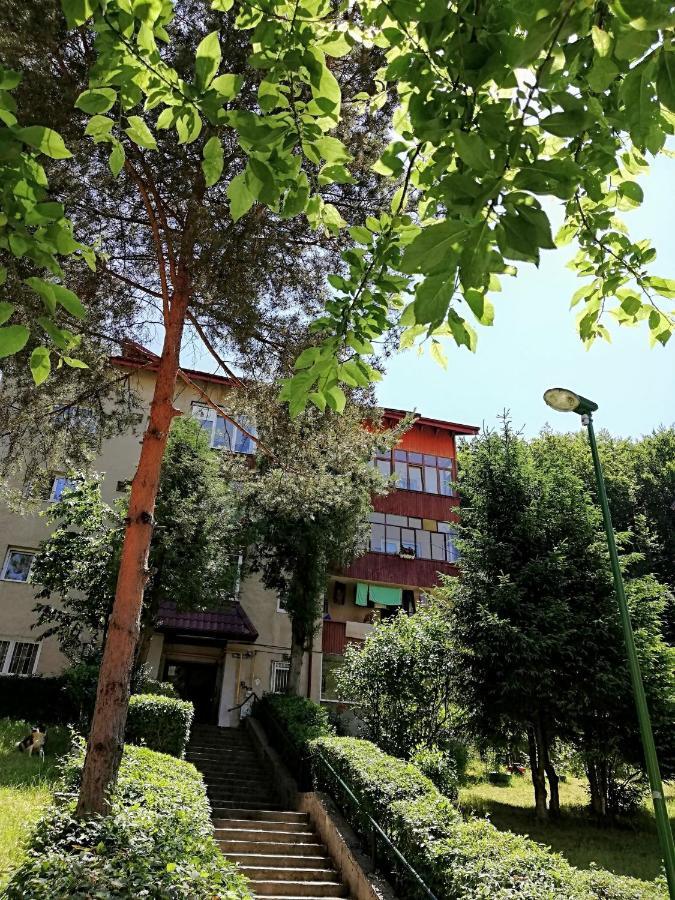 Rustic & Romantic Apartment Брашов Экстерьер фото